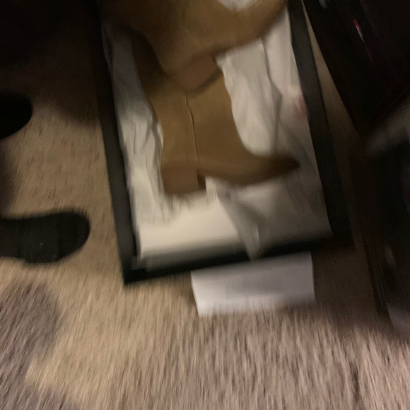 Coach New Boats - Picture 3 of 5